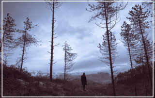 a person standing in a dark forest