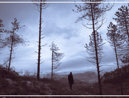 Why sin is such a BIG DEAL