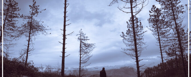 a person standing in a dark forest