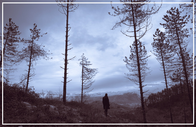 a person standing in a dark forest contemplating their sin