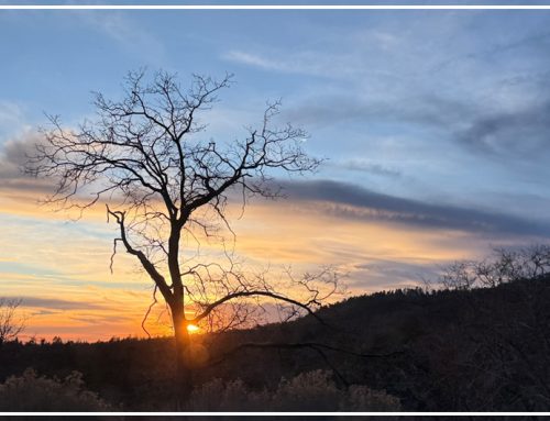 What Easter is all about…